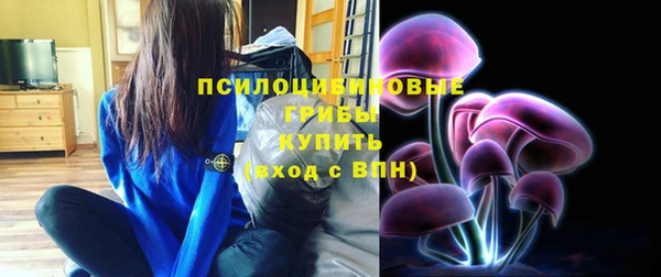 гашик Володарск