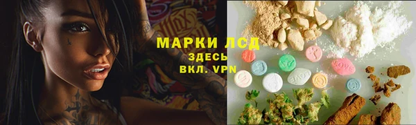 гашик Володарск