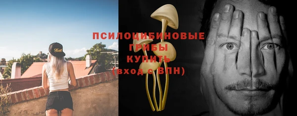 ешки Волоколамск