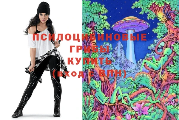ешки Волоколамск
