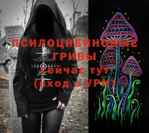 гашик Володарск