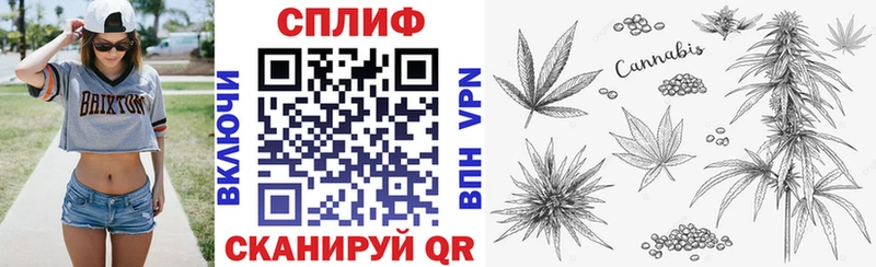 Шишки марихуана White Widow  купить наркоту  Оха 